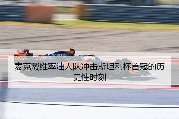 mai-ke-dai-wei-lv-you-ren-dui-chong-ji-si-tan-li-bei-shou-guan-de-li-shi-xing-shi-ke-3-645.jpg