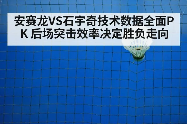 badminton net duel