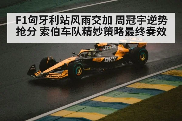 F1匈牙利站风雨交加 周冠宇逆势抢分 索伯车队精妙策略最终奏效